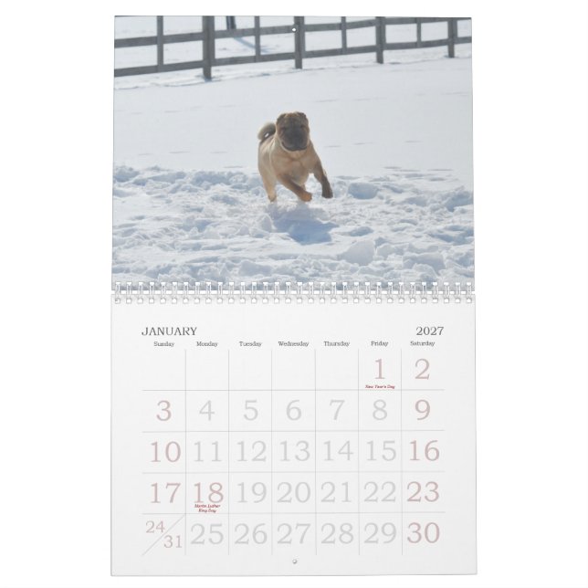 Chinese Shar-pei Calendar (Jan 2027)
