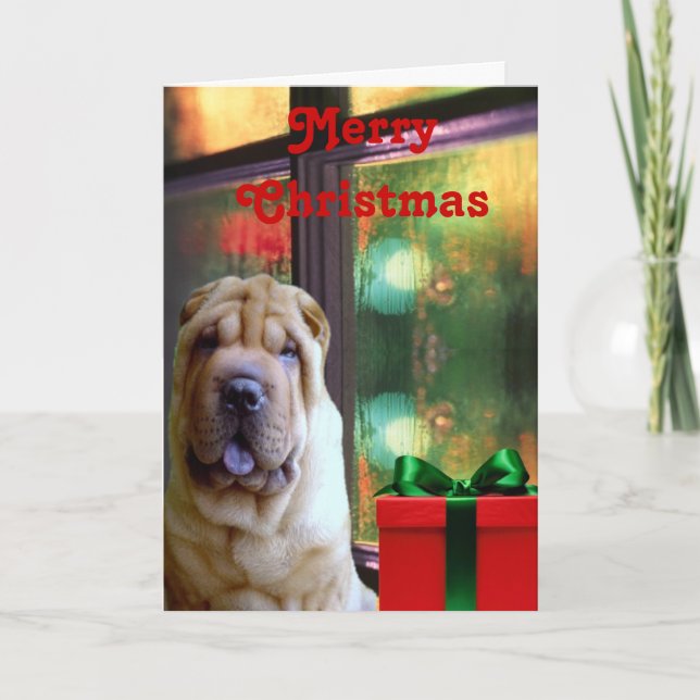 Chinese Shar-pei Christmas Cards (Front)