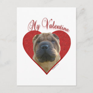 Chinese Shar Pei My Valentine Holiday Postcard