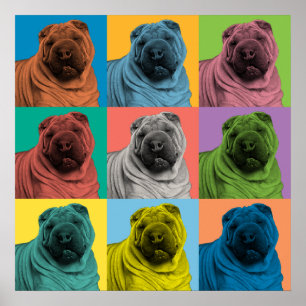 Chinese Shar-Pei Pop-Art Poster