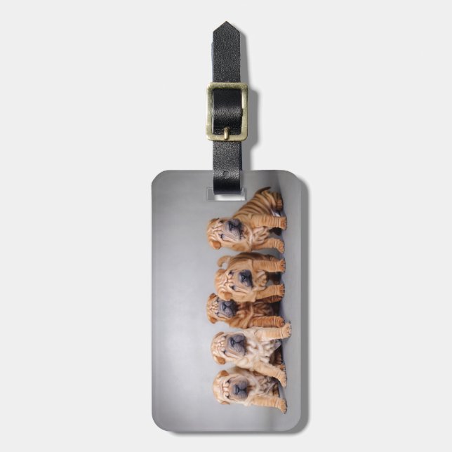 Chinese Shar pei puppies Luggage Tag (Front Vertical)