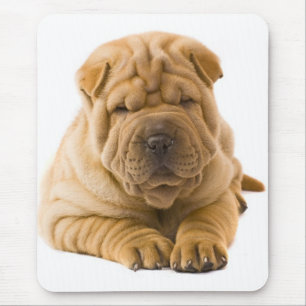 Chinese Shar Pei Puppy Dog - Sharpei Mouse Pad