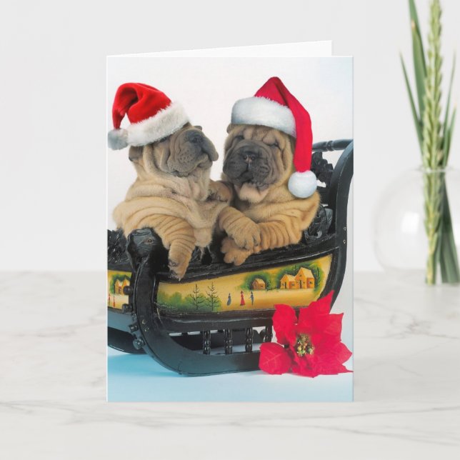 Chinese Shar pei with x-mas hats Holiday Card (Front)