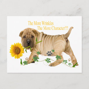 Chinese Shar-Pei Wrinkles Gifts Postcard