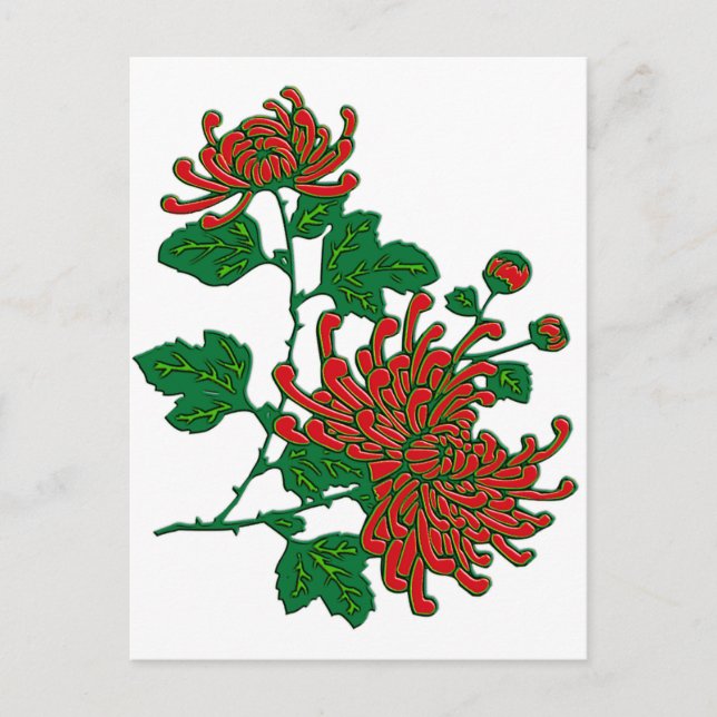 Chinese spider chrysanthemums  - deep red postcard (Front)