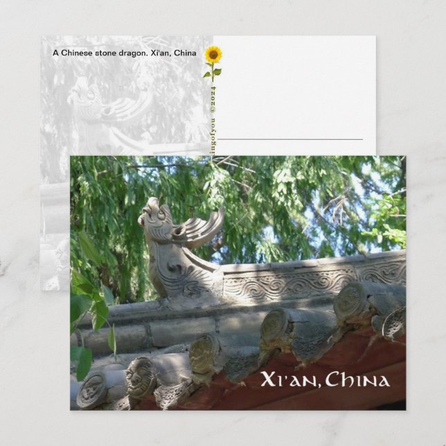 Chinese Stone Dragon, Xi'an, China - postcard (Front/Back)