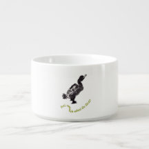 Chinese stucco art with duck