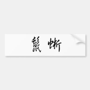 Chinese Symbol for iguana Bumper Sticker