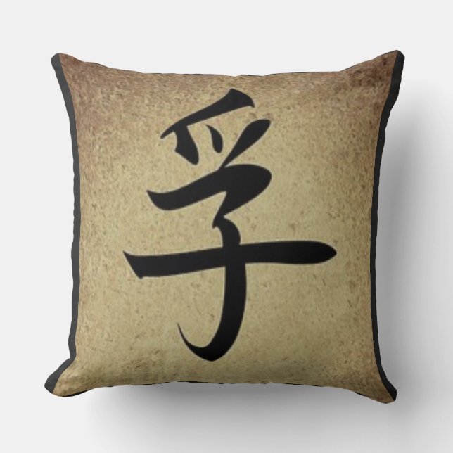 Chinese TRUTH Symbol Asian Theme Square Throw Pillow (Front)
