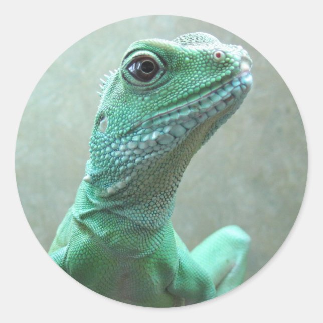 Chinese Water Dragon Classic Round Sticker (Front)