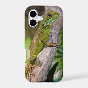 Chinese Water Dragon iPhone 5 Case