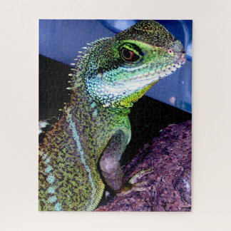 Chinese Water Dragon Lizard Jigsaw Puzzle