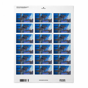 Chingachgook by Newell Convers Wyeth Label