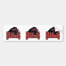 Chino Valley Brahmas Bumper Sticker