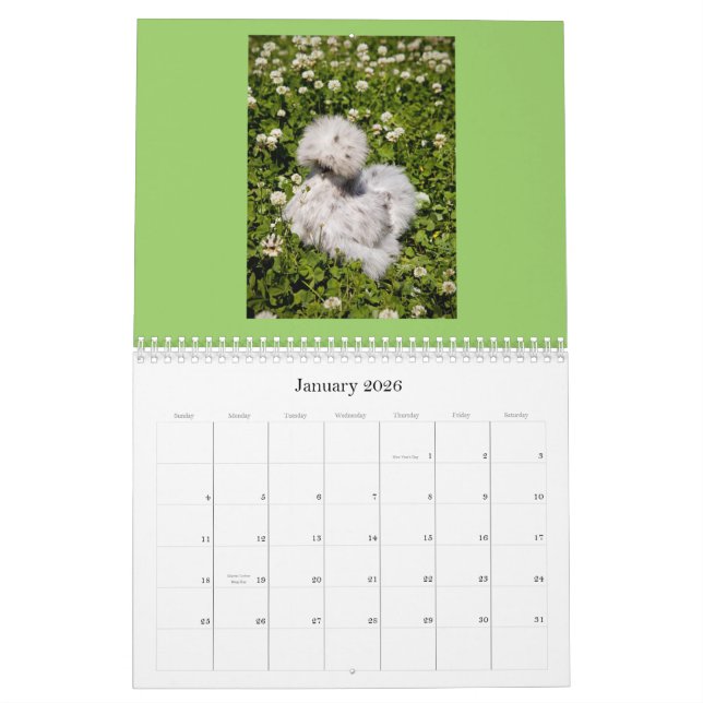 Chinois Silkie et calendrier de fille de scène (Jan 2026)