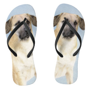 Chinook (Dropped Ears) Painting - Original Dog Art Flip Flops