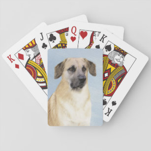 Chinook (Dropped Ears) Painting - Original Dog Art Playing Cards