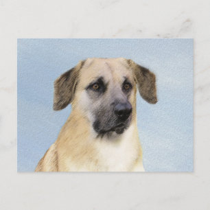 Chinook (Dropped Ears) Painting - Original Dog Art Postcard