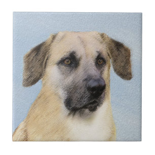 Chinook (Dropped Ears) Painting - Original Dog Art Tile