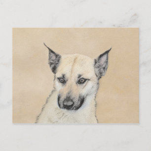 Chinook (Pointed Ears) Painting - Original Dog Art Postcard