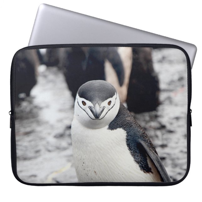 CHINSTRAP PENGUIN LAPTOP SLEEVE (Front)