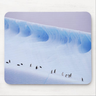 Chinstrap Penguin, South Orkney Islands Mouse Pad