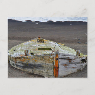 Chinstrap Penguin Standing on Boat Postcard