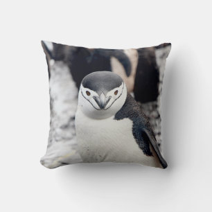 CHINSTRAP PENGUIN THROW PILLOW