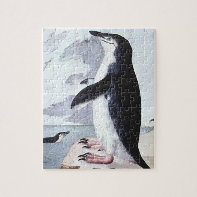 Chinstrap Penguin, Vintage Birds from Antarctica Jigsaw Puzzle (Vertical)