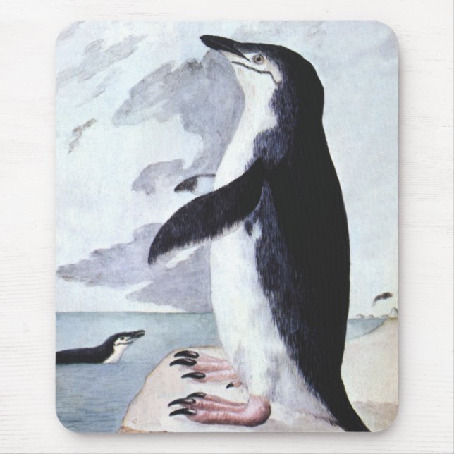 Chinstrap Penguin, Vintage Birds from Antarctica Mouse Pad (Front)