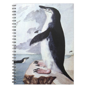 Chinstrap Penguin, Vintage Birds from Antarctica Notebook