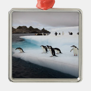 Chinstrap Penguins Metal Ornament