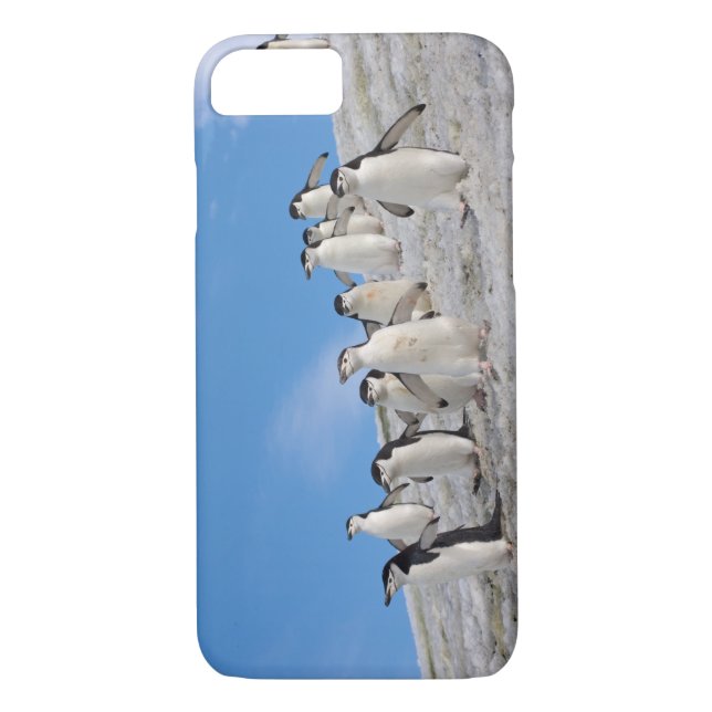 Chinstrap Penguins | Pygoscelis Antarctica Case-Mate iPhone Case (Back)