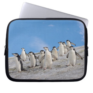 Chinstrap Penguins   Pygoscelis Antarctica Laptop Sleeve