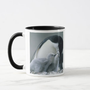 Chinstrap Penguins, Pygoscelis antarctica), Mug