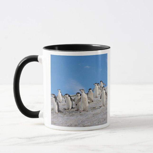 Chinstrap Penguins | Pygoscelis Antarctica Mug (Left)