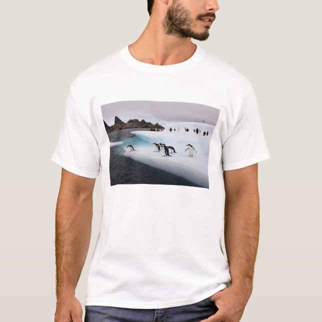 Chinstrap Penguins T-Shirt (Front)