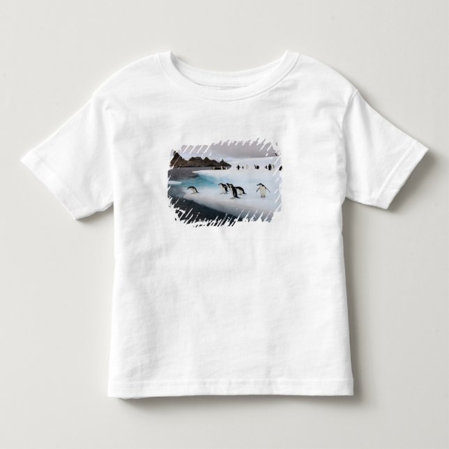 Chinstrap Penguins Toddler T-shirt (Front)
