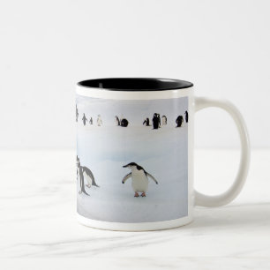 Chinstrap Penguins Two-Tone Coffee Mug