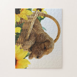 Chiot 11X14 (252 PCs de Goldendoodle.) Puzzle