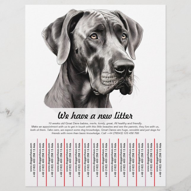 chiot à vendre prospectus modèles (Devant)