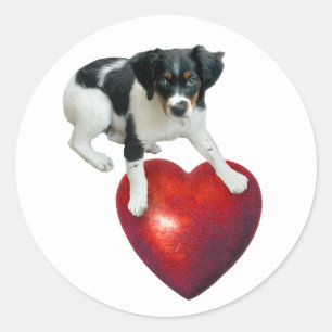 Chiot avec Sticker de Coeur Rouge