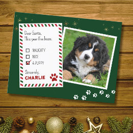 Chiot Cher Père Noël Green Christmas Carte de voeu