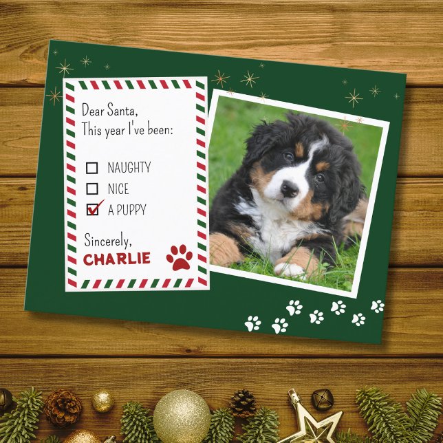 Chiot Cher Père Noël Green Christmas Carte de voeu (Créateur téléchargé)