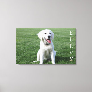 Chiot cutest sur toile