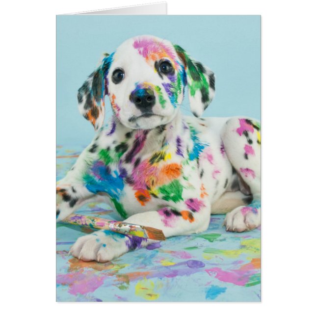 Chiot dalmate (Devant)