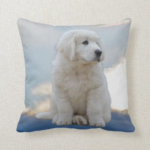 Chiot dans le Coussin du ciel