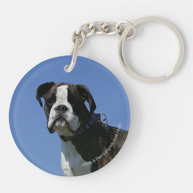 Chiot de boxeur de bébé de 3 mois (Dos)