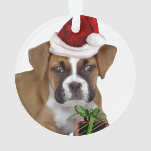 Chiot de boxeur de Noël