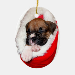 Chiot de boxeur en ornement de bas de Noël